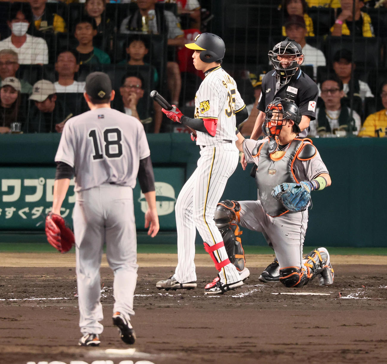 阪神対巨人　3回裏阪神1死一塁、才木はバントしようとバットを出したが判定はボール、投手菅野（撮影・加藤哉）