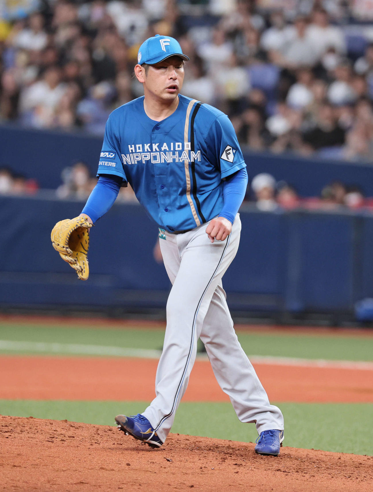 オリックス対日本ハム　日本ハム先発の加藤（撮影・宮崎幸一）