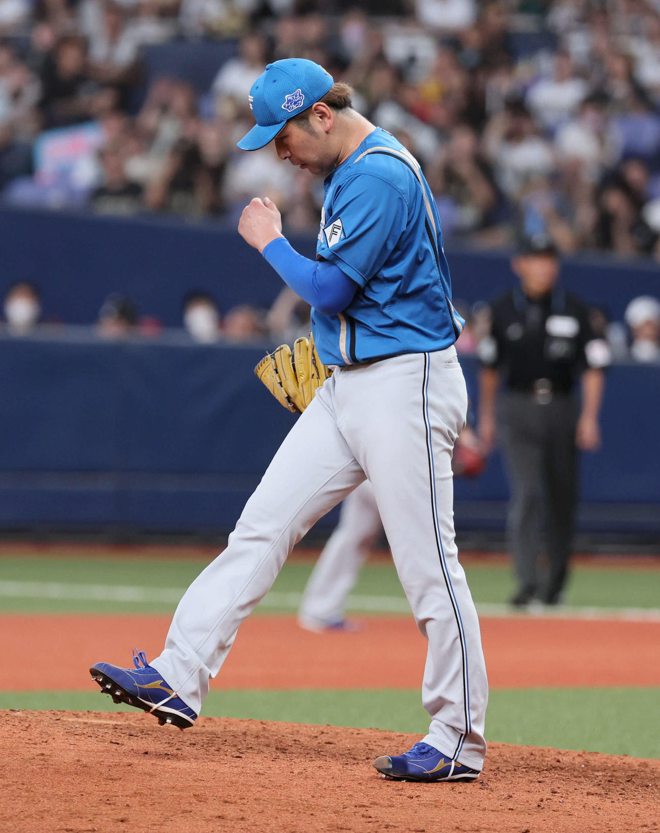 オリックス対日本ハム　完投で10勝目を挙げガッツポーズする日本ハム加藤貴（撮影・宮崎幸一）