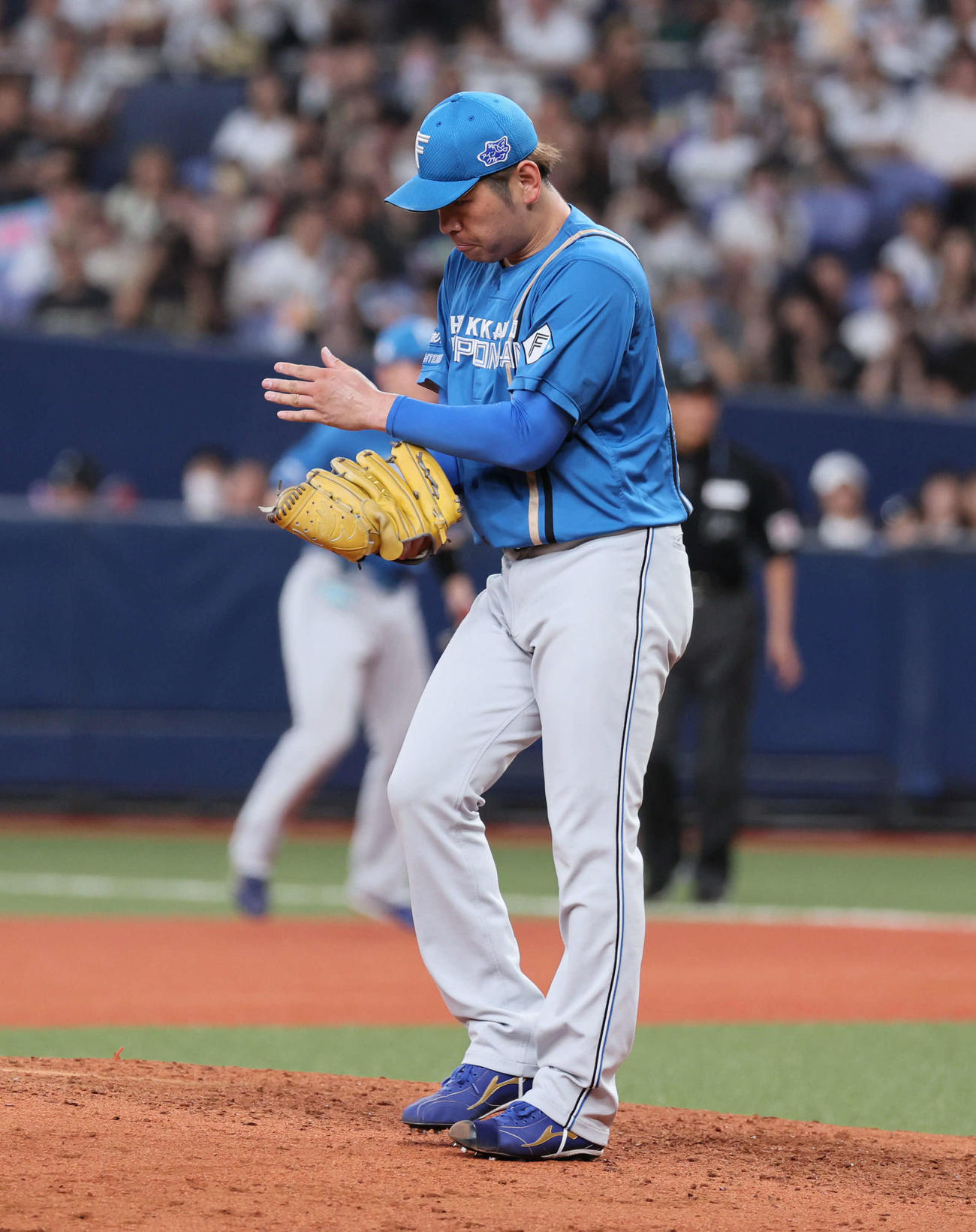 オリックス対日本ハム　完投で10勝目を挙げ手をたたく日本ハム加藤貴（撮影・宮崎幸一）