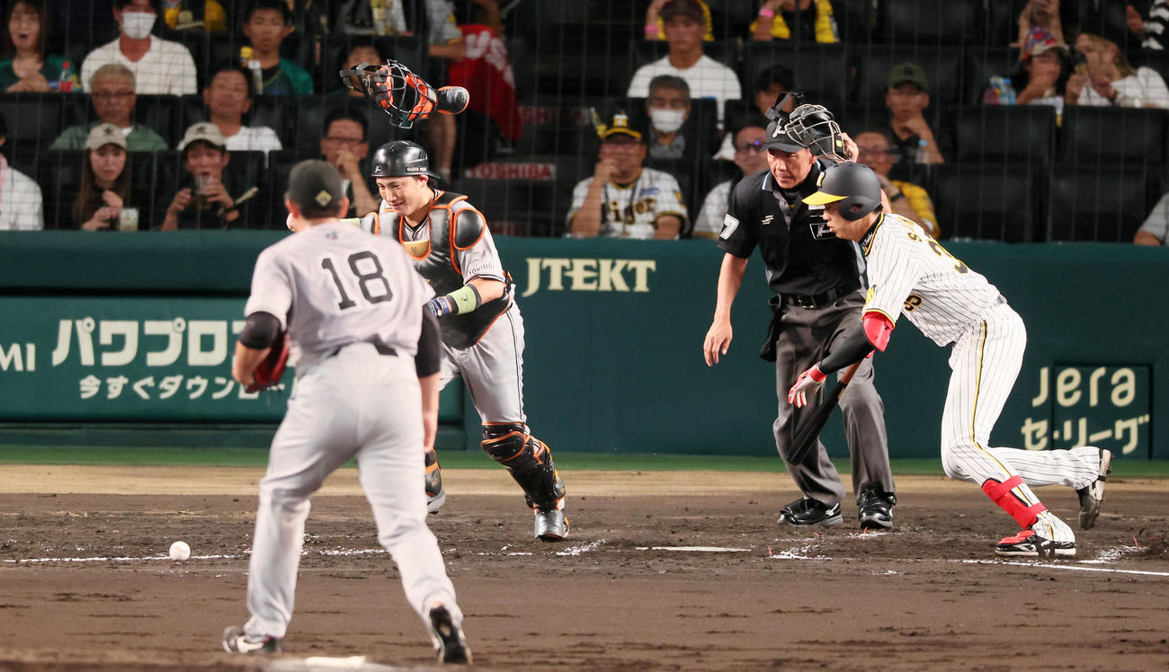 阪神対巨人　3回裏阪神1死一塁、才木は一塁線にバントを決める。投手菅野（撮影・加藤哉）