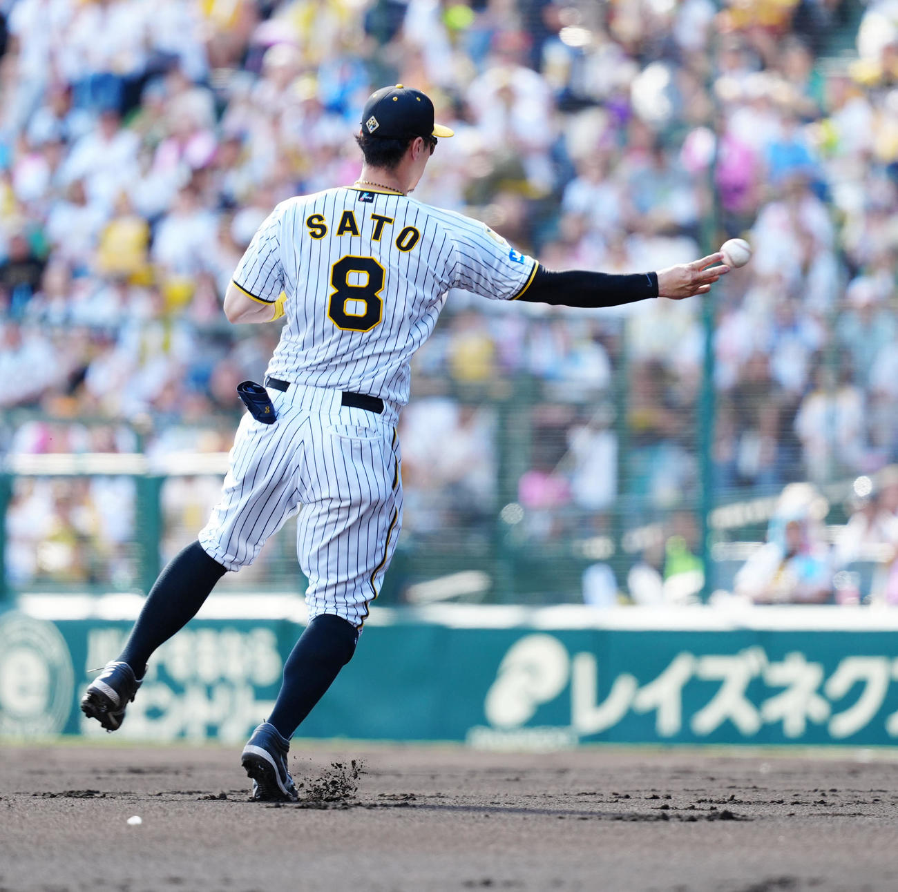 阪神対巨人　3回表巨人無死、三ゴロとなった岸田の打球を処理し一塁へ送球する佐藤輝（撮影・江口和貴）