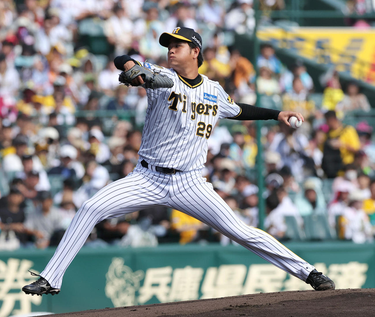 阪神対巨人　阪神先発の高橋（撮影・上山淳一）