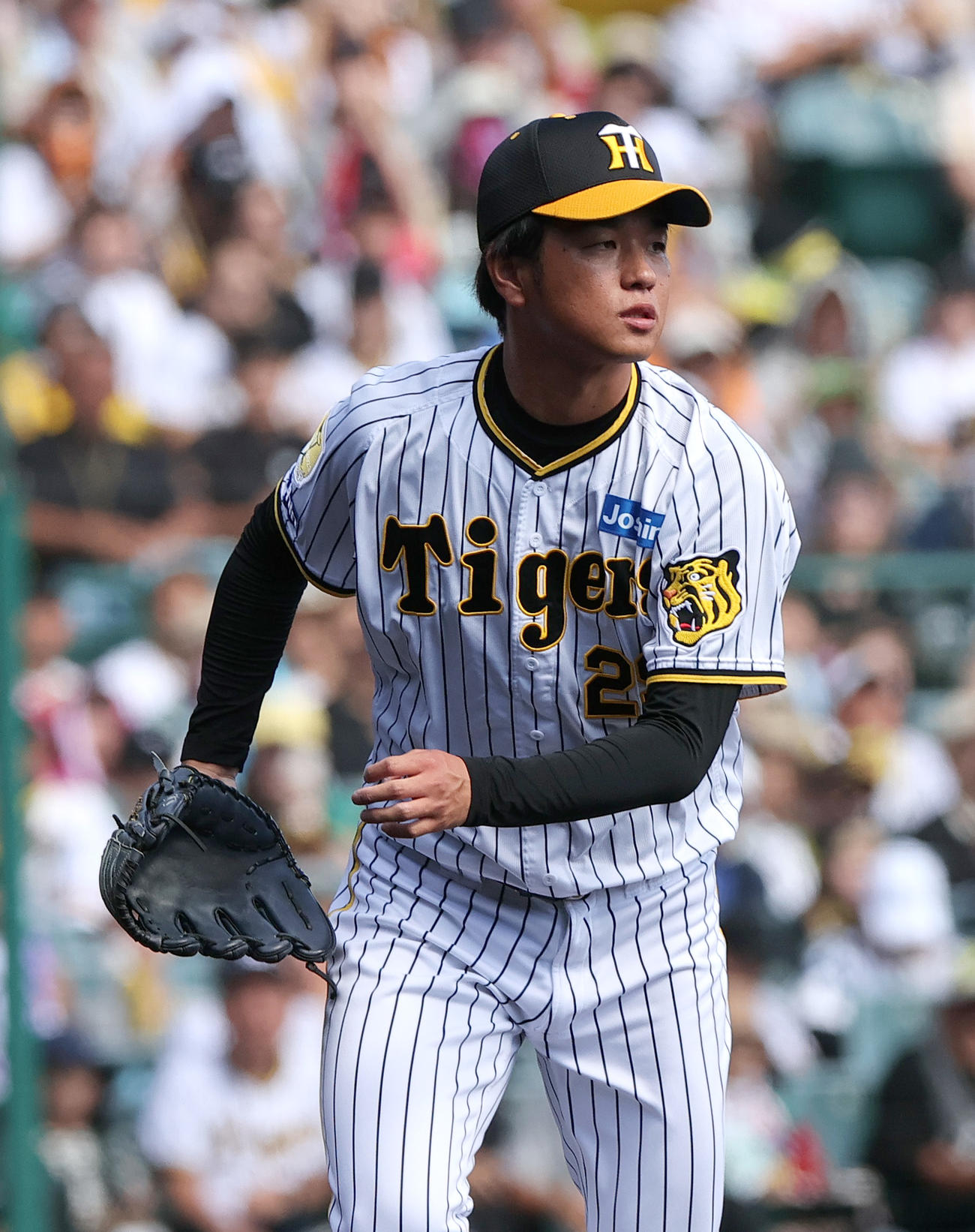 阪神対巨人　阪神先発の高橋（撮影・上山淳一）
