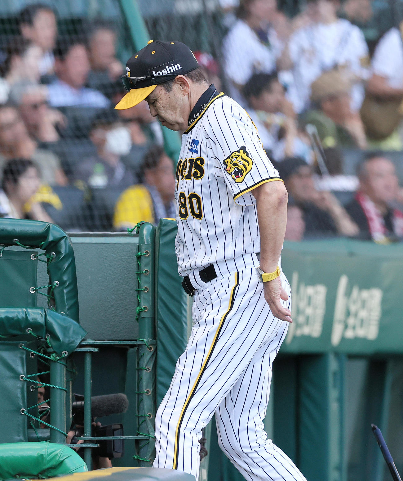 阪神対巨人　7回表途中で阪神先発高橋の降板を告げベンチに引き揚げる引き揚げ岡田監督（撮影・上山淳一）