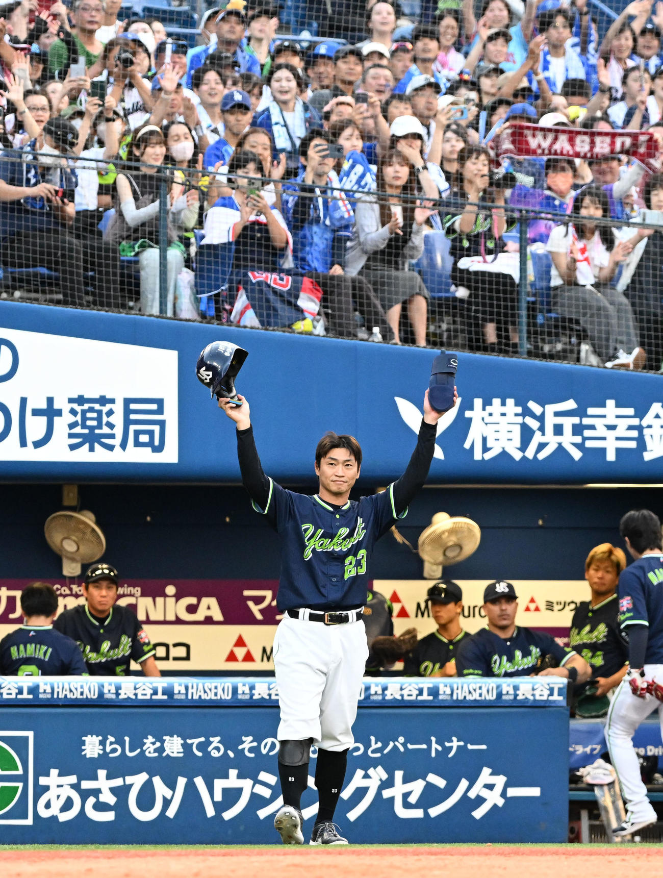 DeNA対ヤクルト　8回の攻撃を終え、ベンチ前でスタンドの歓声に応えるヤクルト青木（撮影・千葉一成）