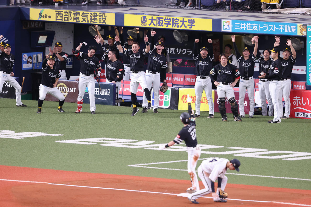 オリックス対ソフトバンク　4回表ソフトバンク2死一、二塁、周東は左越えに勝ち越しとなる2点適時三塁打を放つ、盛り上がるナイン（撮影・梅根麻紀）