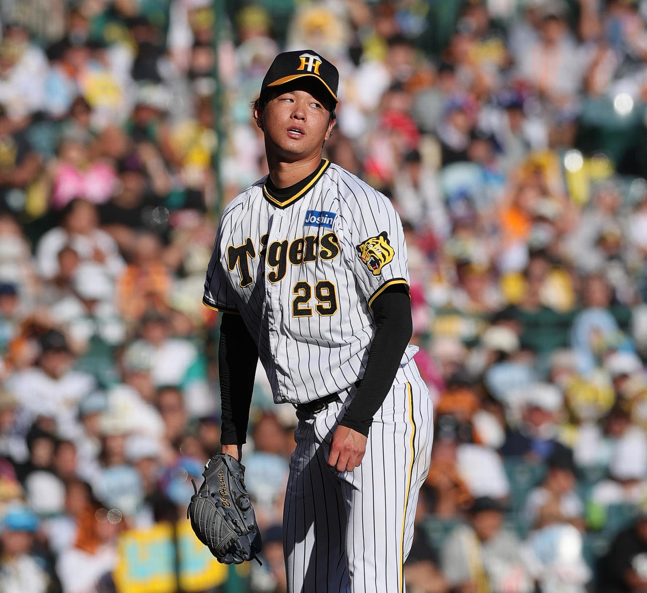 阪神対巨人　7回表巨人無死一、三塁、高橋は代打坂本に右前適時打を浴びる（撮影・上山淳一）