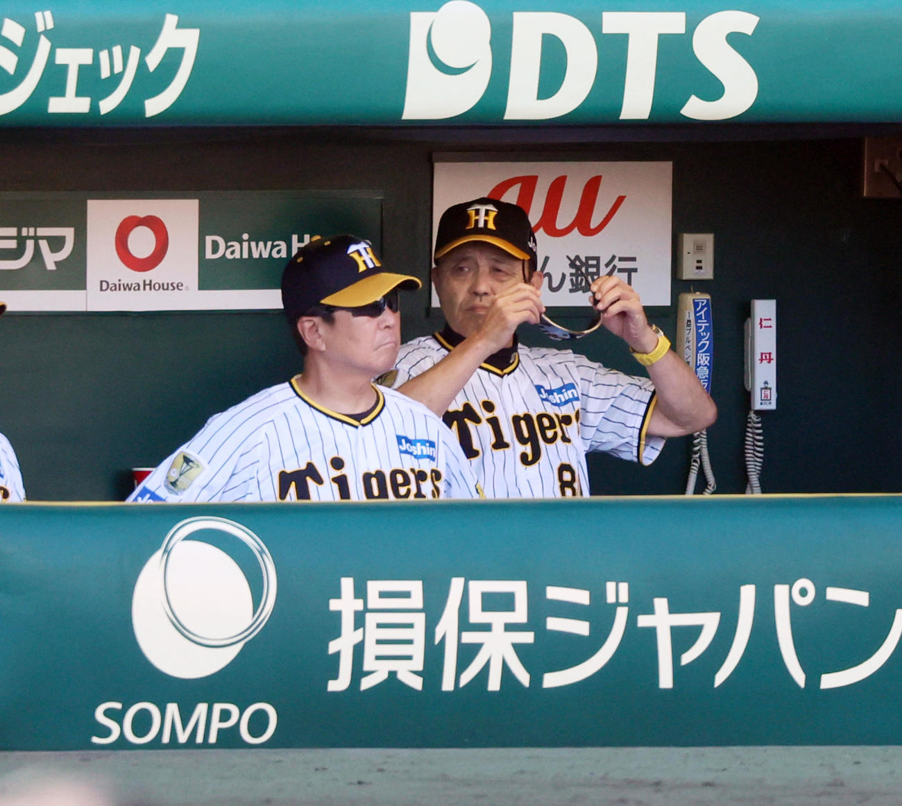阪神対巨人　6回表、ベンチでサングラスをかける岡田監督（撮影・加藤哉）