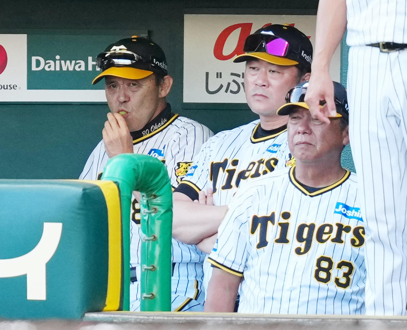 阪神対巨人　7回表、ベンチでアメを口にする阪神岡田監督（左）（撮影・江口和貴）