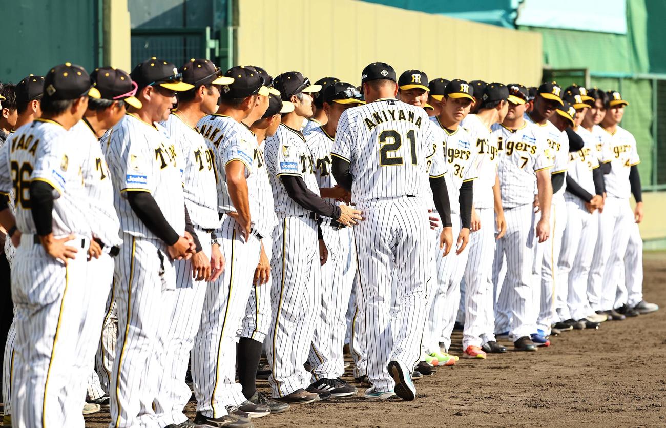 秋山引退セレモニーで握手を交わす阪神ナイン（撮影・上田博志）