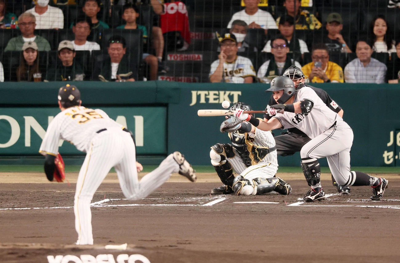 22日、巨人戦の1回、無死二塁から浅野は投前にバントを行う。投手才木