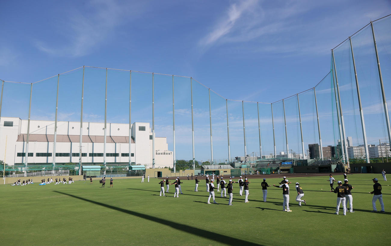 快晴の下、アップする阪神の選手ら（撮影・上山淳一）