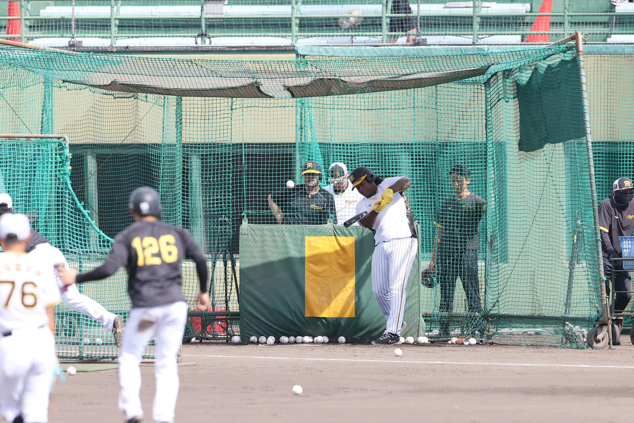 ウエスタン・リーグ阪神対ソフトバンク　試合を前に練習でフリー打撃する阪神ミエセス（撮影・上山淳一）