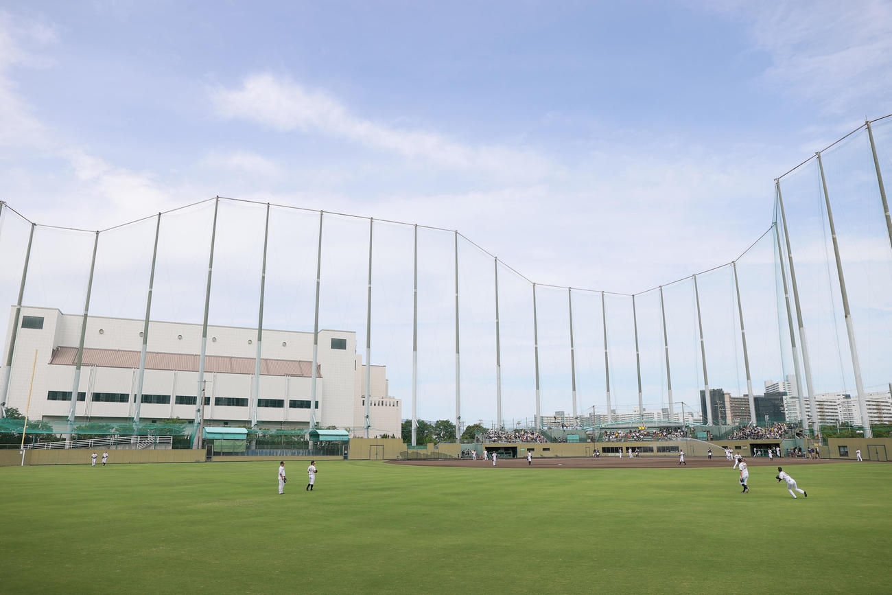 ウエスタン・リーグ阪神対ソフトバンク　試合を前にシートノックする阪神ナイン（撮影・上山淳一）