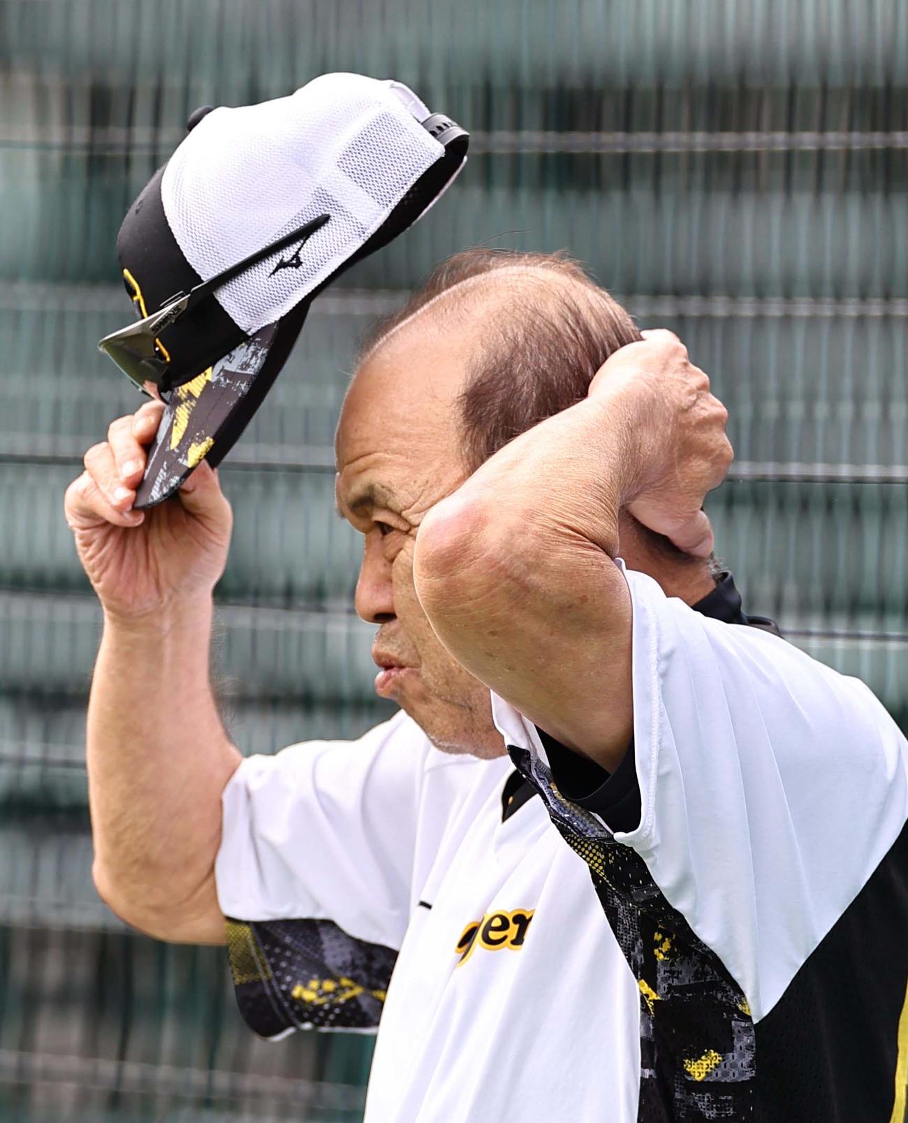 ナインの練習を見守る岡田監督（撮影・上田博志）