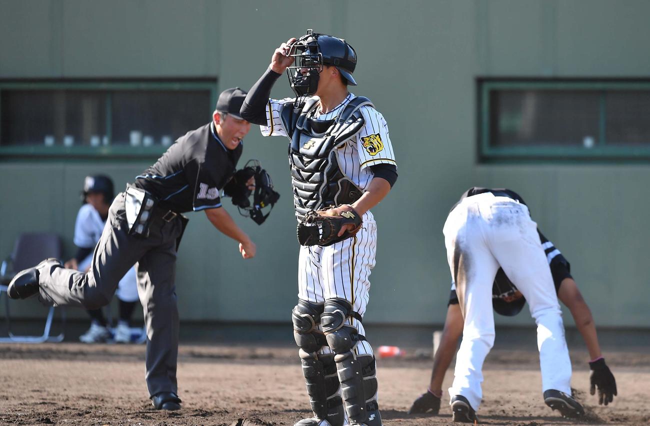 19年9月26日ソフトバンク戦の8回、横田の送球で本塁憤死する水谷