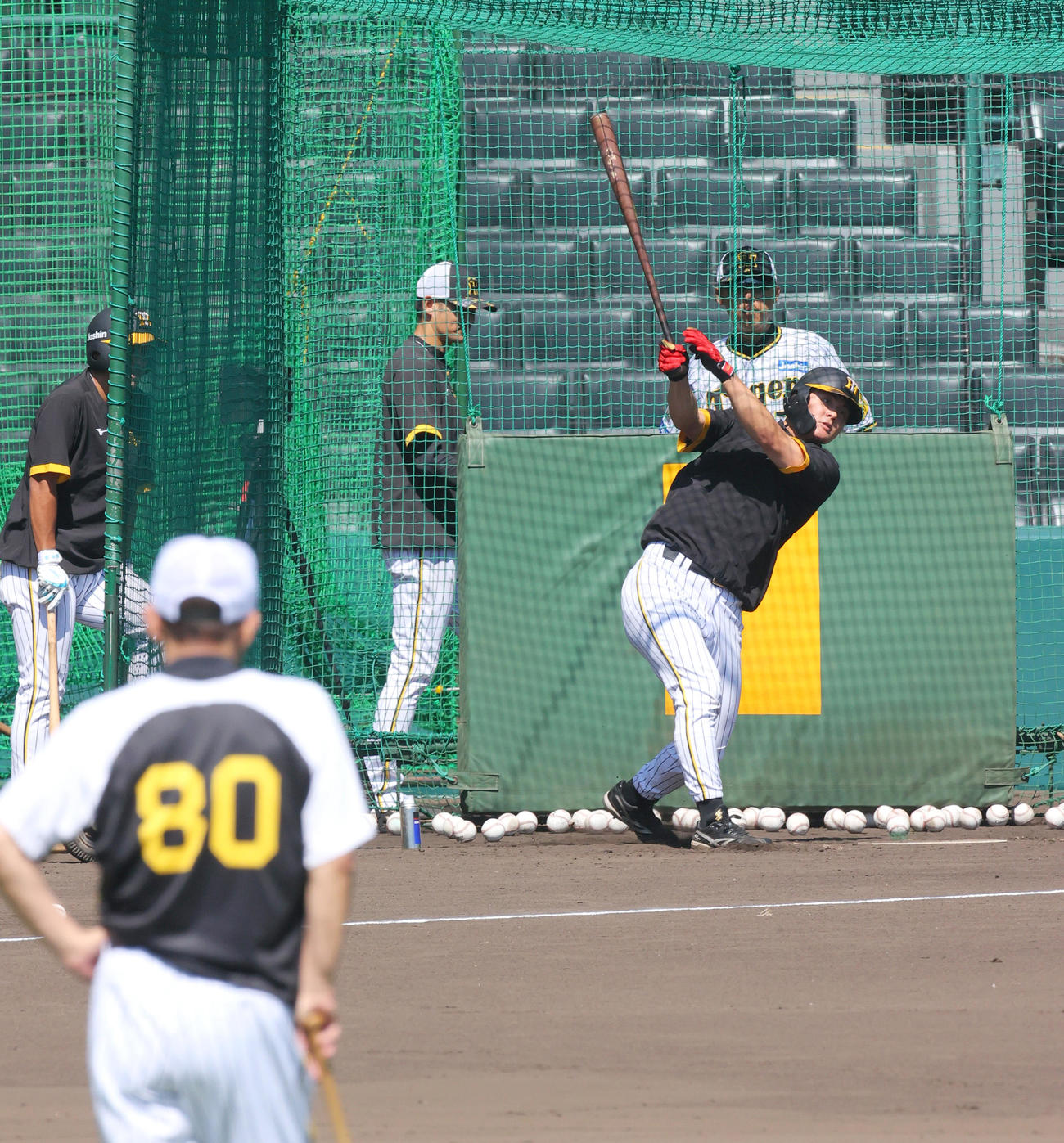 阪神岡田監督（手前）が見守る中、フリー打撃する阪神前川（撮影・上山淳一）