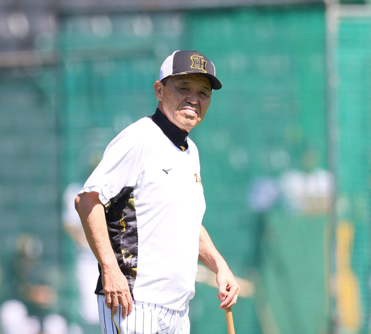 甲子園球場で阪神岡田監督はリラックスした表情で練習を見つめる（撮影・上山淳一）