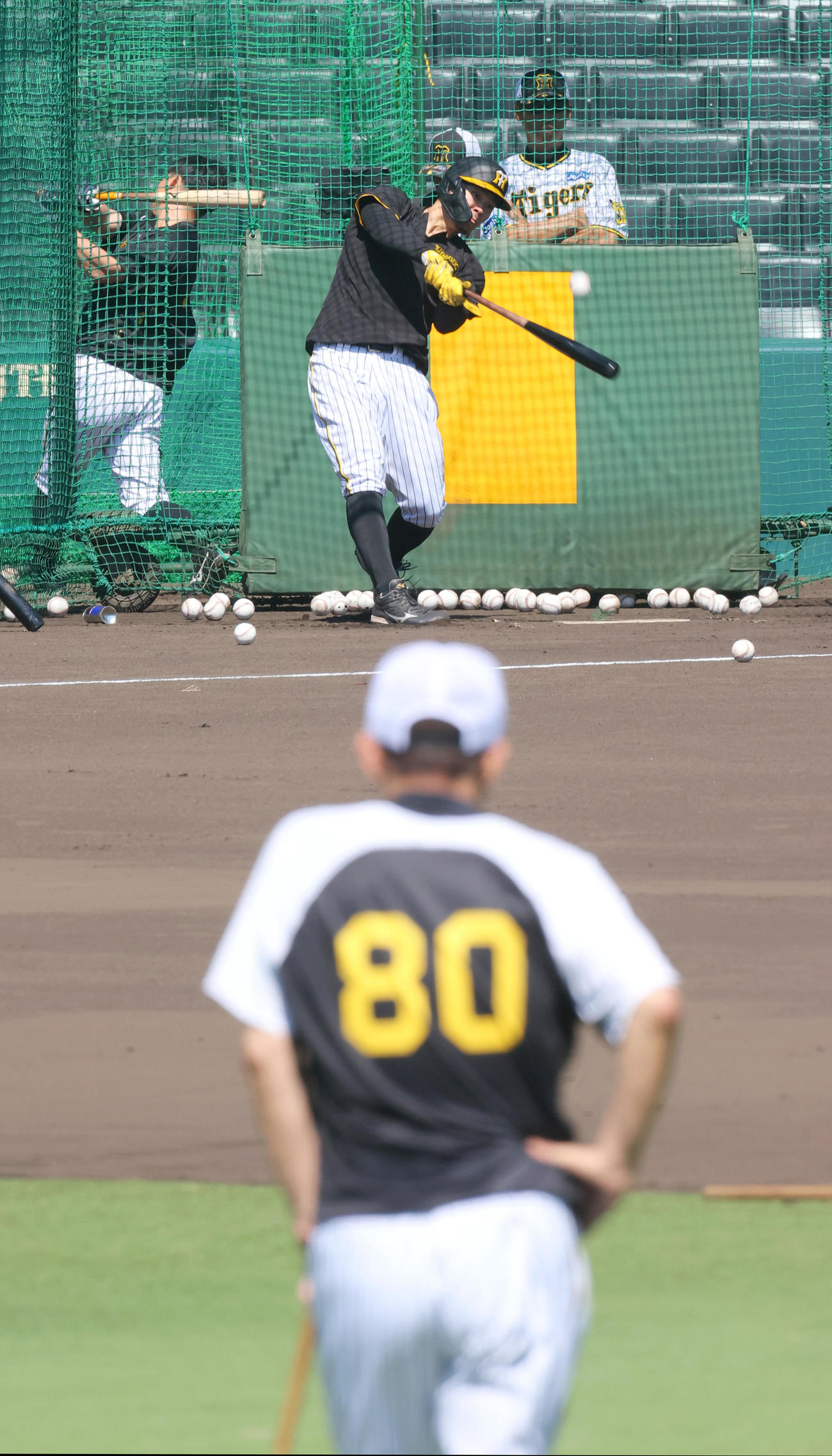 阪神岡田監督（手前）が見守る中、フリー打撃する阪神佐藤輝（撮影・上山淳一）