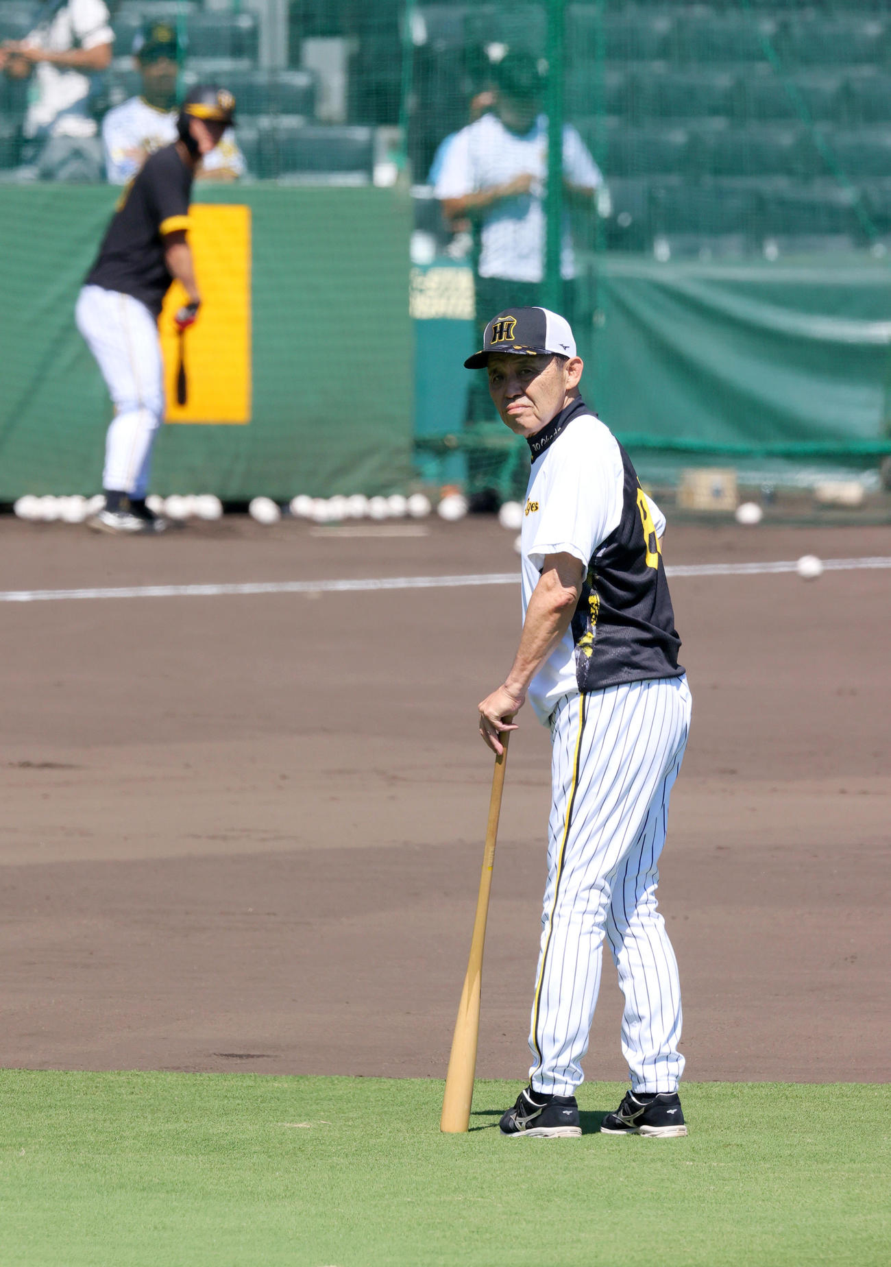 阪神岡田監督（手前）はフリー打撃する阪神前川の打球を見つめる（撮影・上山淳一）