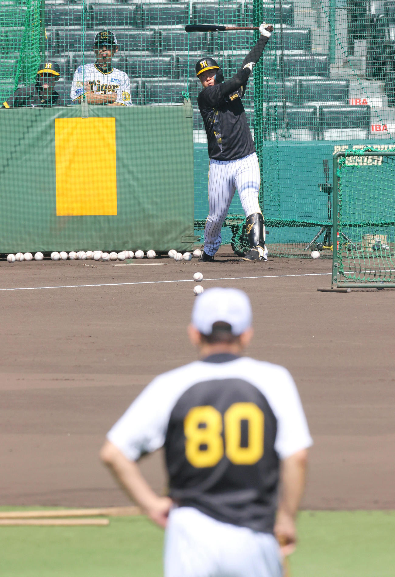 阪神岡田監督（手前）が見守る中、フリー打撃する阪神大山（撮影・上山淳一）