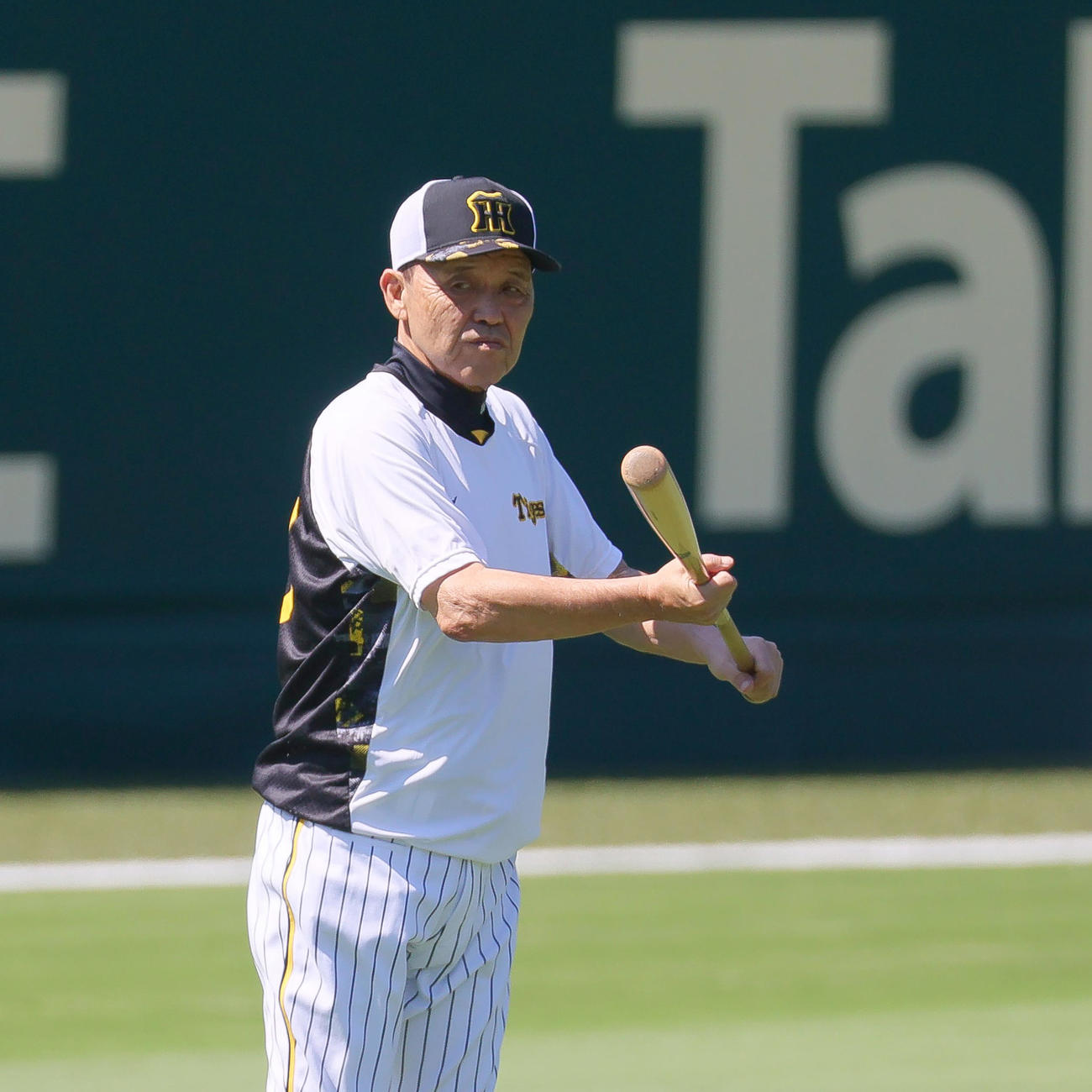バットを手に練習を見守る阪神岡田監督（撮影・上山淳一）