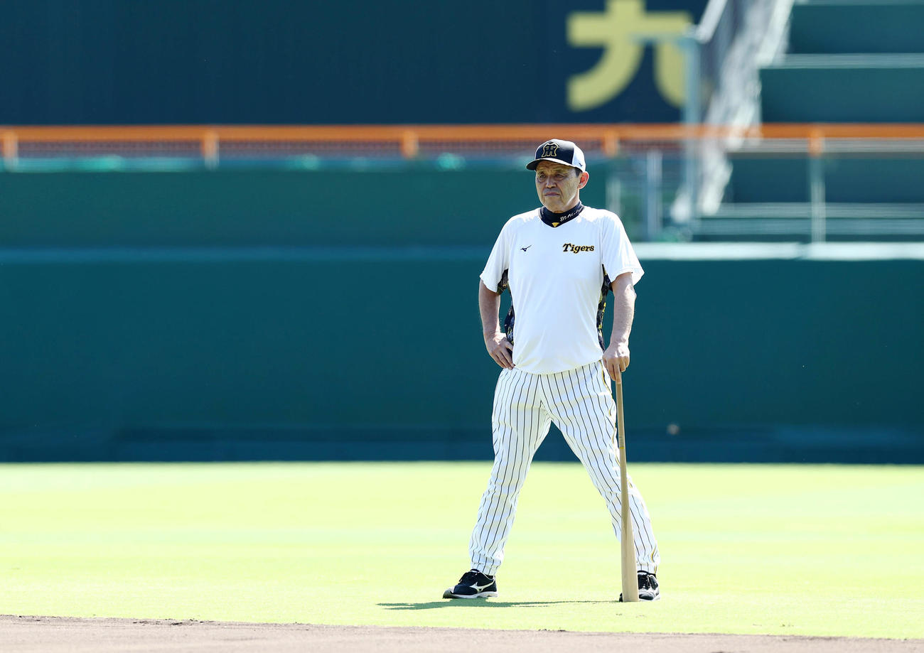 練習を見守る阪神岡田監督（撮影・前田充）
