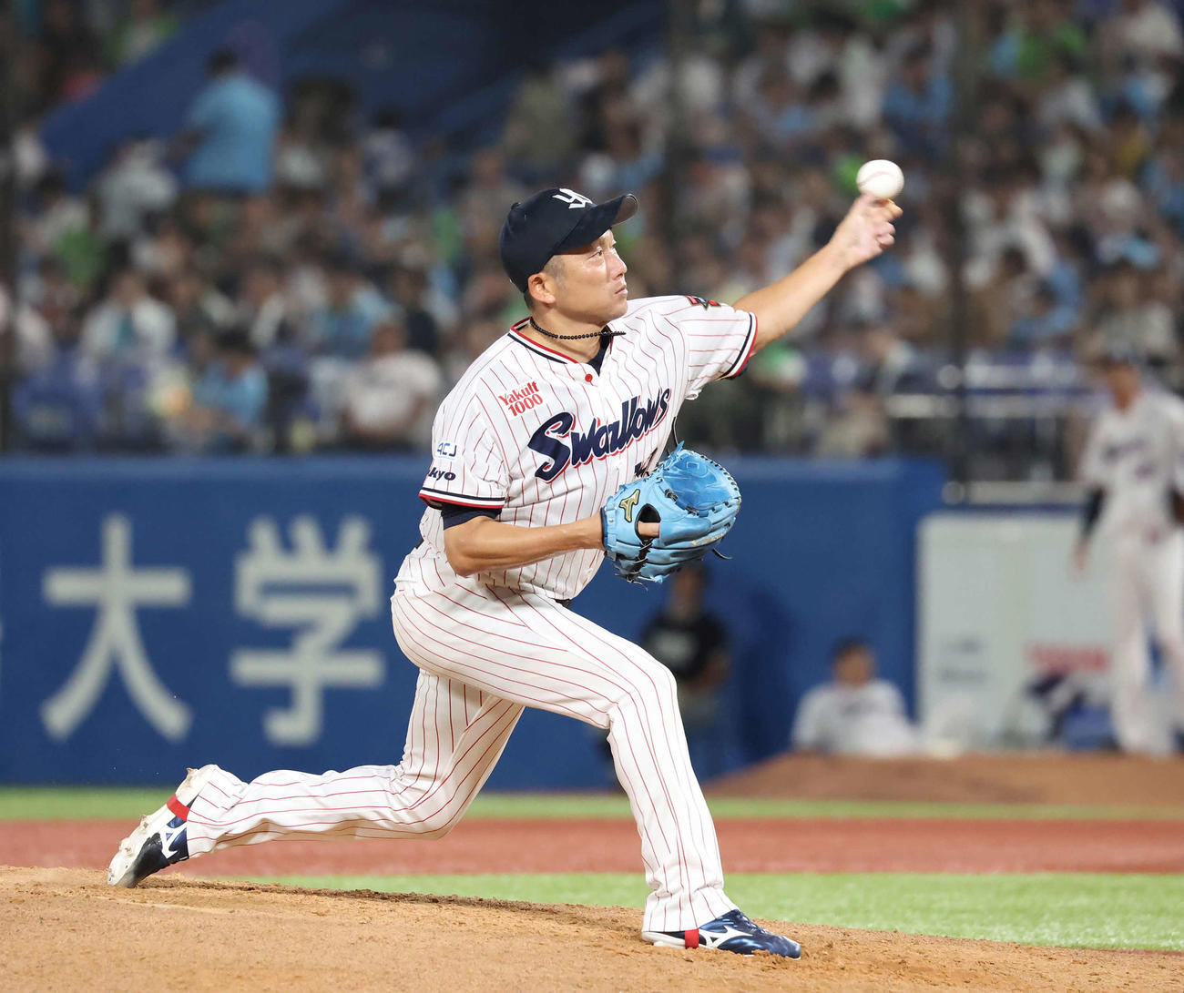 ヤクルト石川雅規（2024年8月18日撮影）