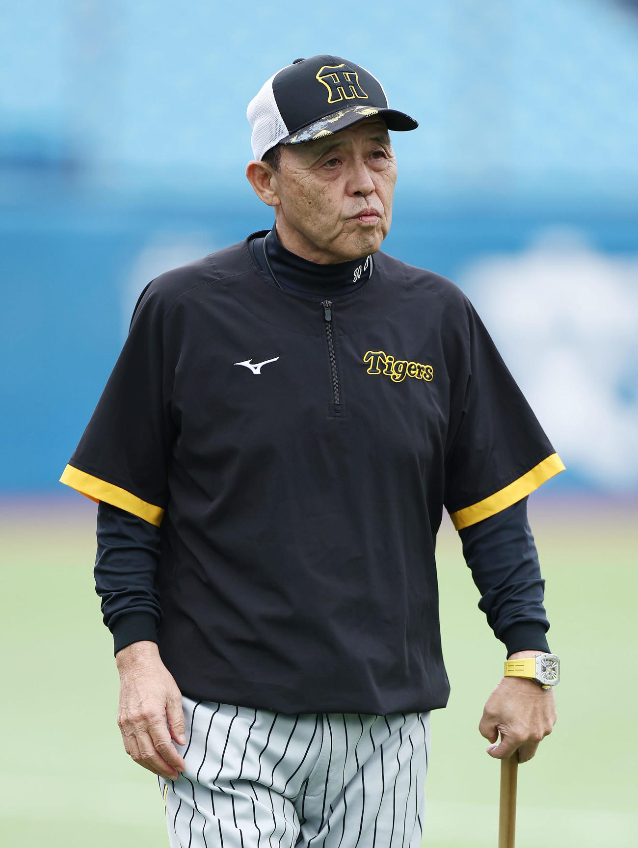 ヤクルト対阪神　試合前練習を見守る阪神岡田監督（撮影・前田充）