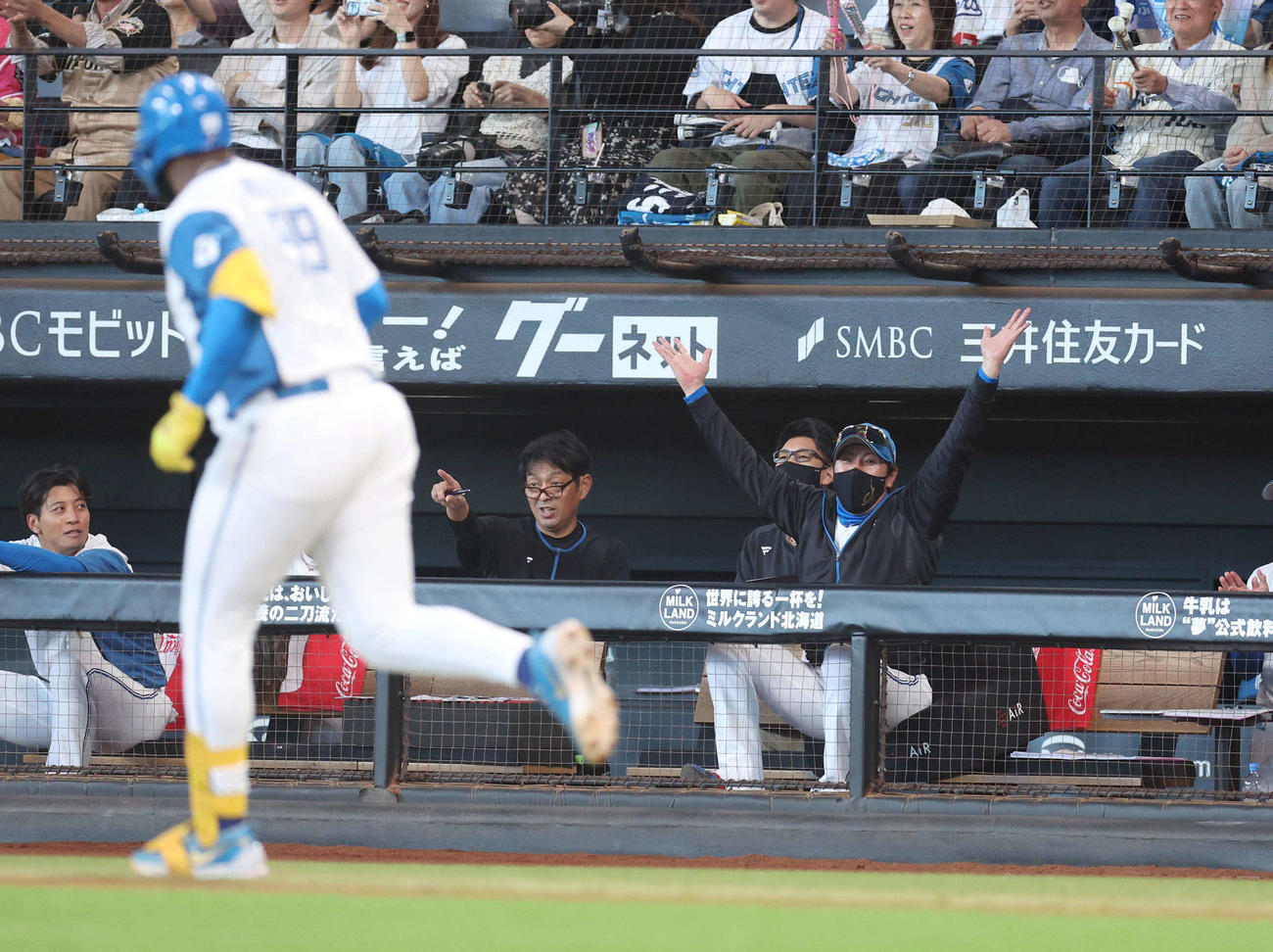 日本ハム対ソフトバンク　3回裏日本ハム2死、レイエスの左越え本塁打で万歳する新庄監督（撮影・黒川智章）