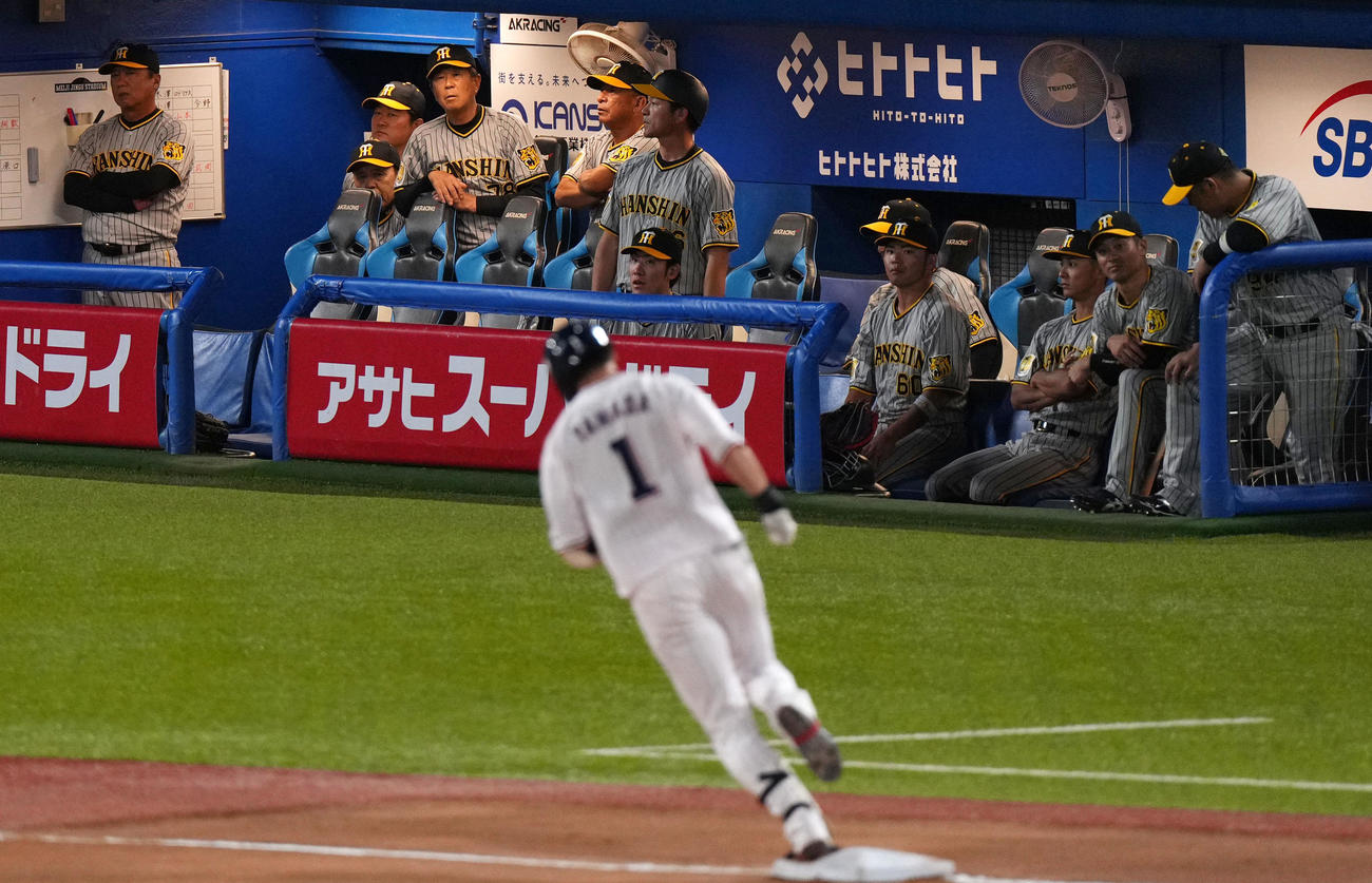 ヤクルト対阪神　7回裏ヤクルト無死、山田に左越え本塁打を浴び肩を落とす阪神ベンチ（撮影・横山健太）