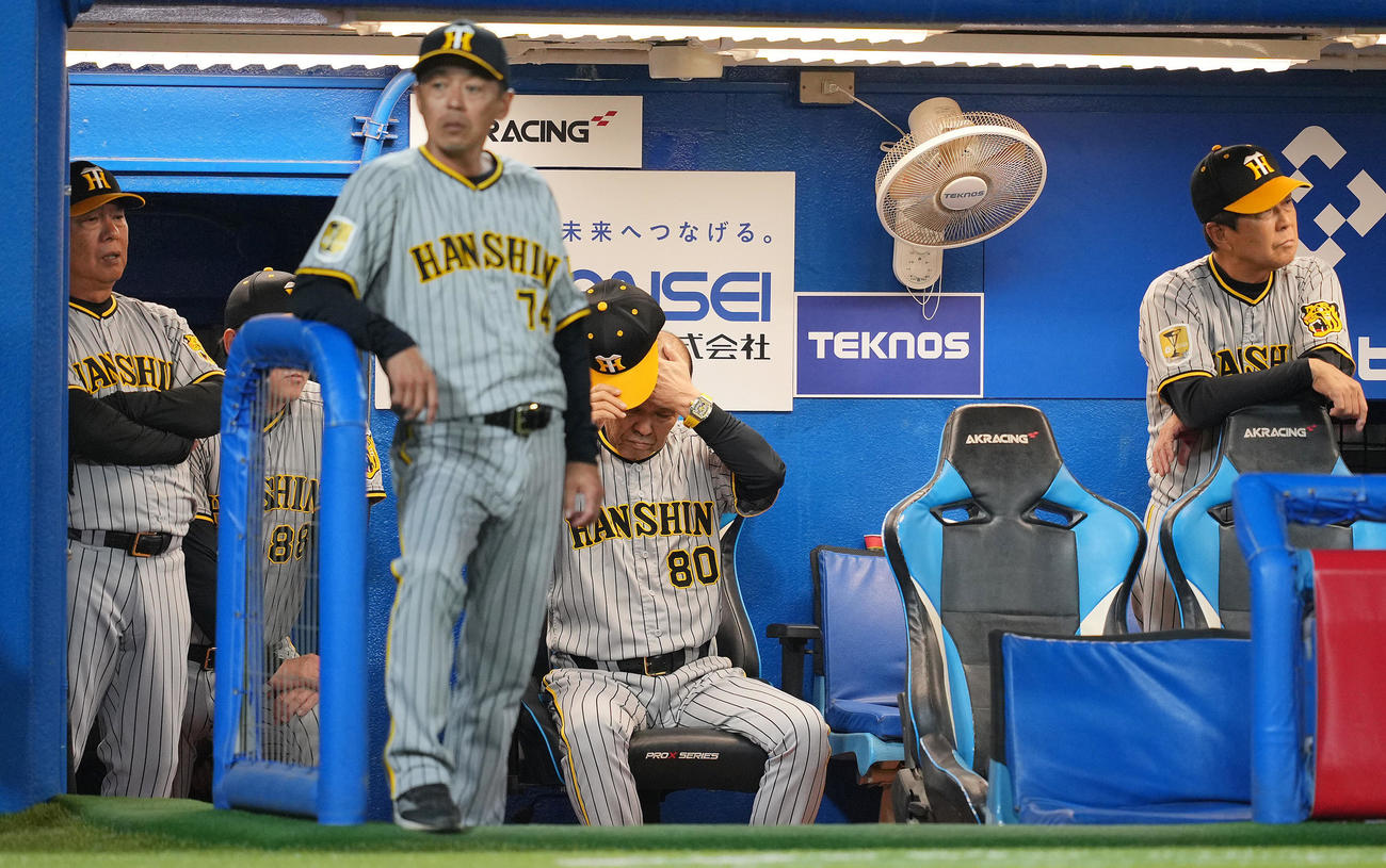 ヤクルト対阪神　ベンチでうつむきさえない表情の阪神岡田監督（中央）ら（撮影・垰建太）