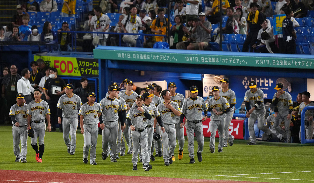 ヤクルト対阪神　神宮球場での最終戦を終えスタンドへあいさつへ向かう岡田監督（手前）ら阪神ナイン（撮影・横山健太）