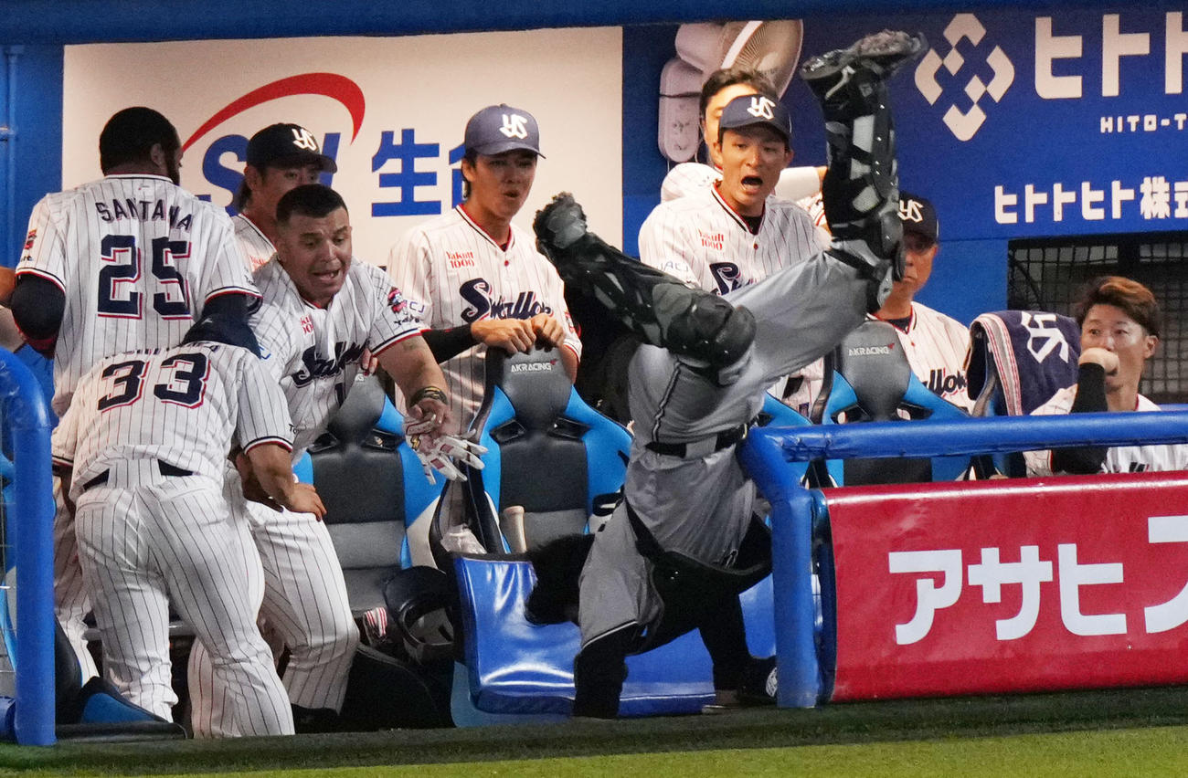 ヤクルト対巨人　1回裏ヤクルト2死二塁、山田哲人の打球を追って一塁ベンチへ突っ込む山瀬（撮影・横山健太）