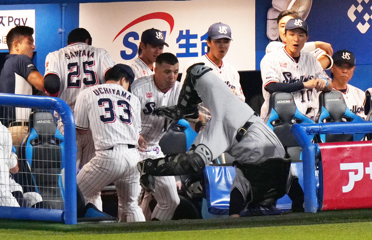 ヤクルト対巨人　1回裏ヤクルト2死二塁、山田哲人の打球を追って一塁ベンチへ突っ込む山瀬（撮影・横山健太）