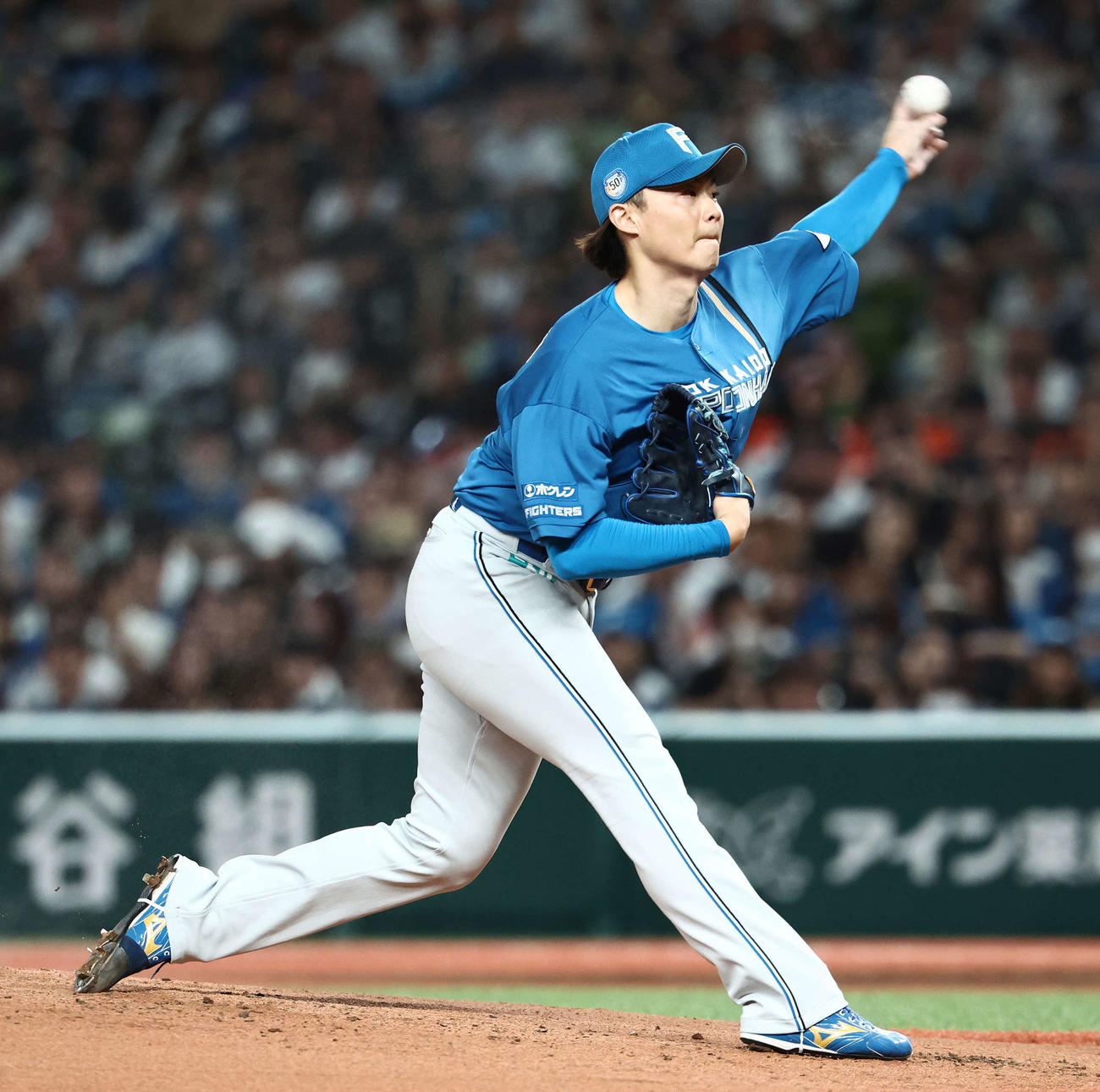 日本ハム山崎福也（2024年9月23日撮影）