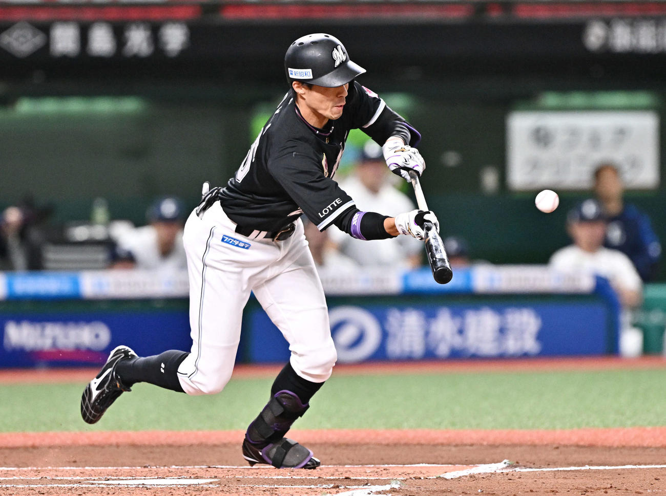 西武対ロッテ　6回表ロッテ2死三塁、岡は先制スクイズを決める（撮影・滝沢徹郎）