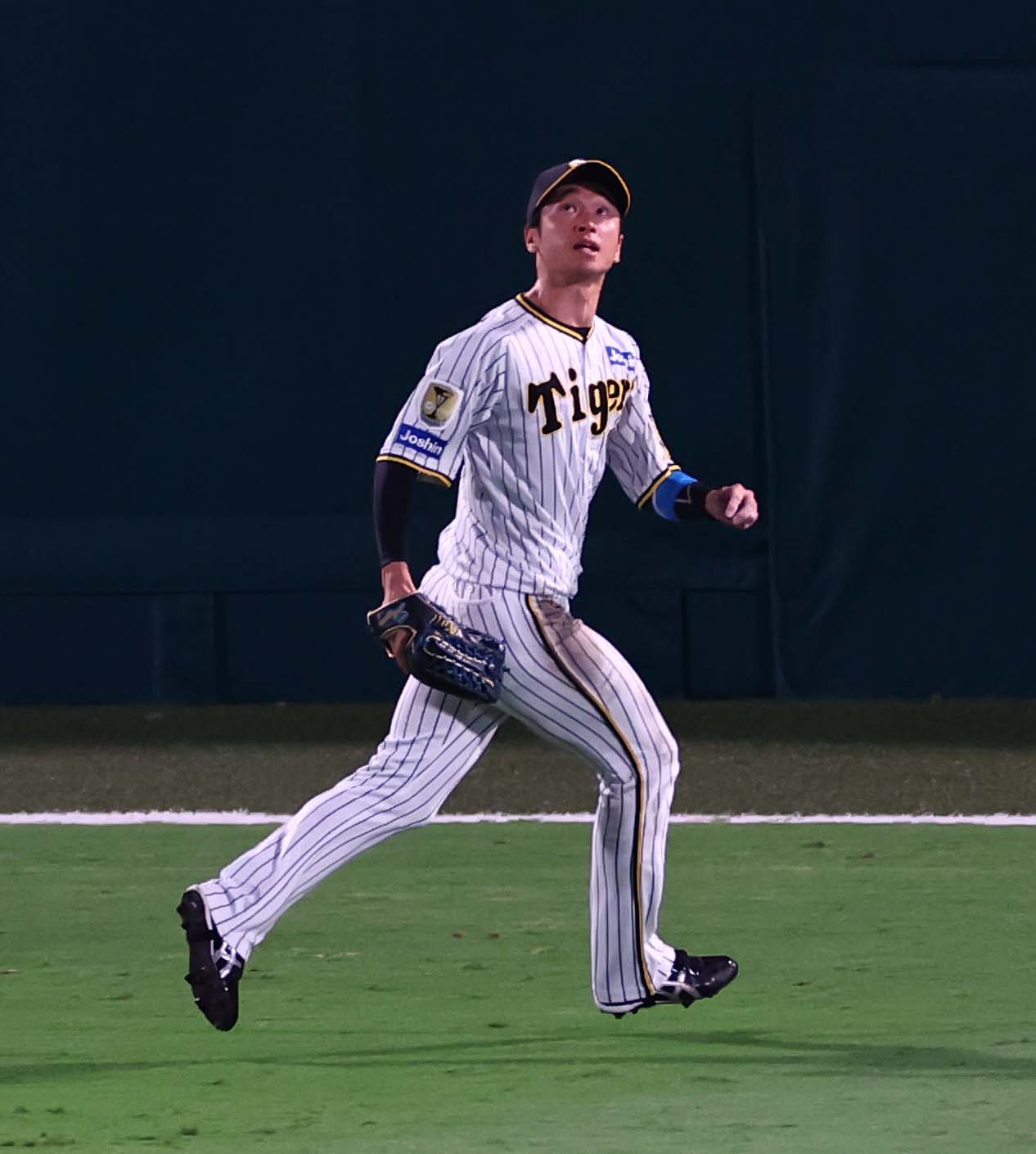 阪神対DeNA 6回表DeNA無死一、二塁、牧の打球を追う近本。フェイクな動きで桑原の生還を阻む（撮影・上田博志）