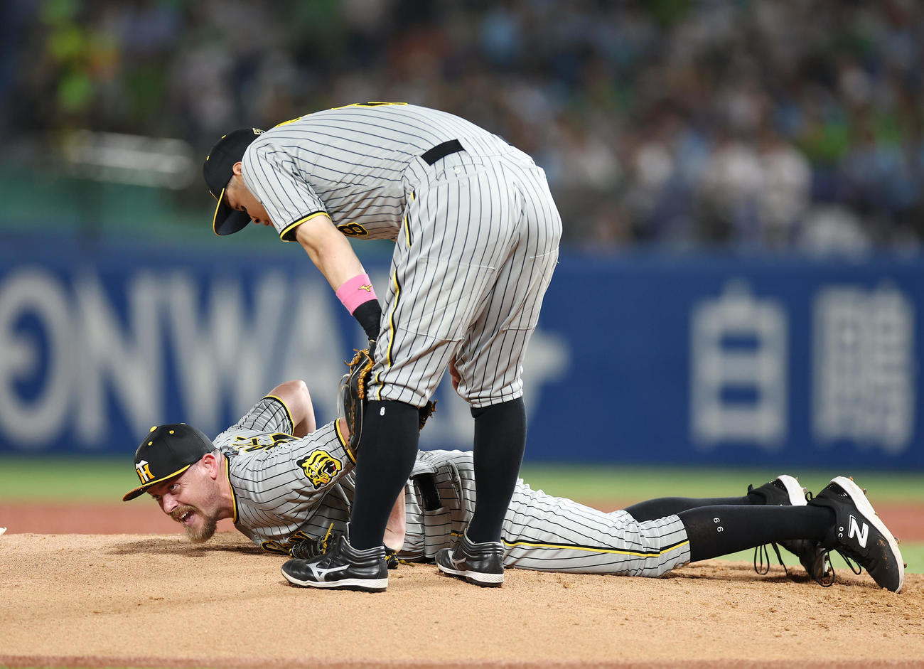 ヤクルト対阪神　2回裏ヤクルト無死、丸山和郁の打球が直撃し、倒れ込むビーズリー。手前は心配そうに声を掛ける佐藤輝（2024年9月28日撮影）