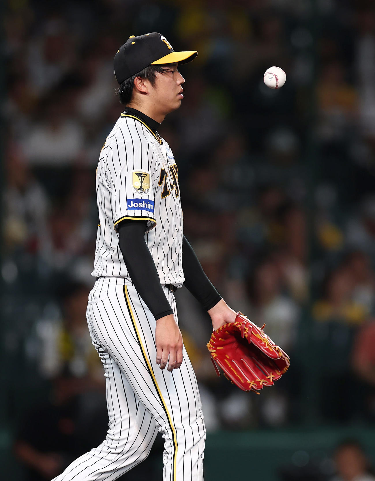 阪神対DeNA 3回表DeNA1死一、二塁、佐野に適時打を浴びた才木（撮影・前田充）