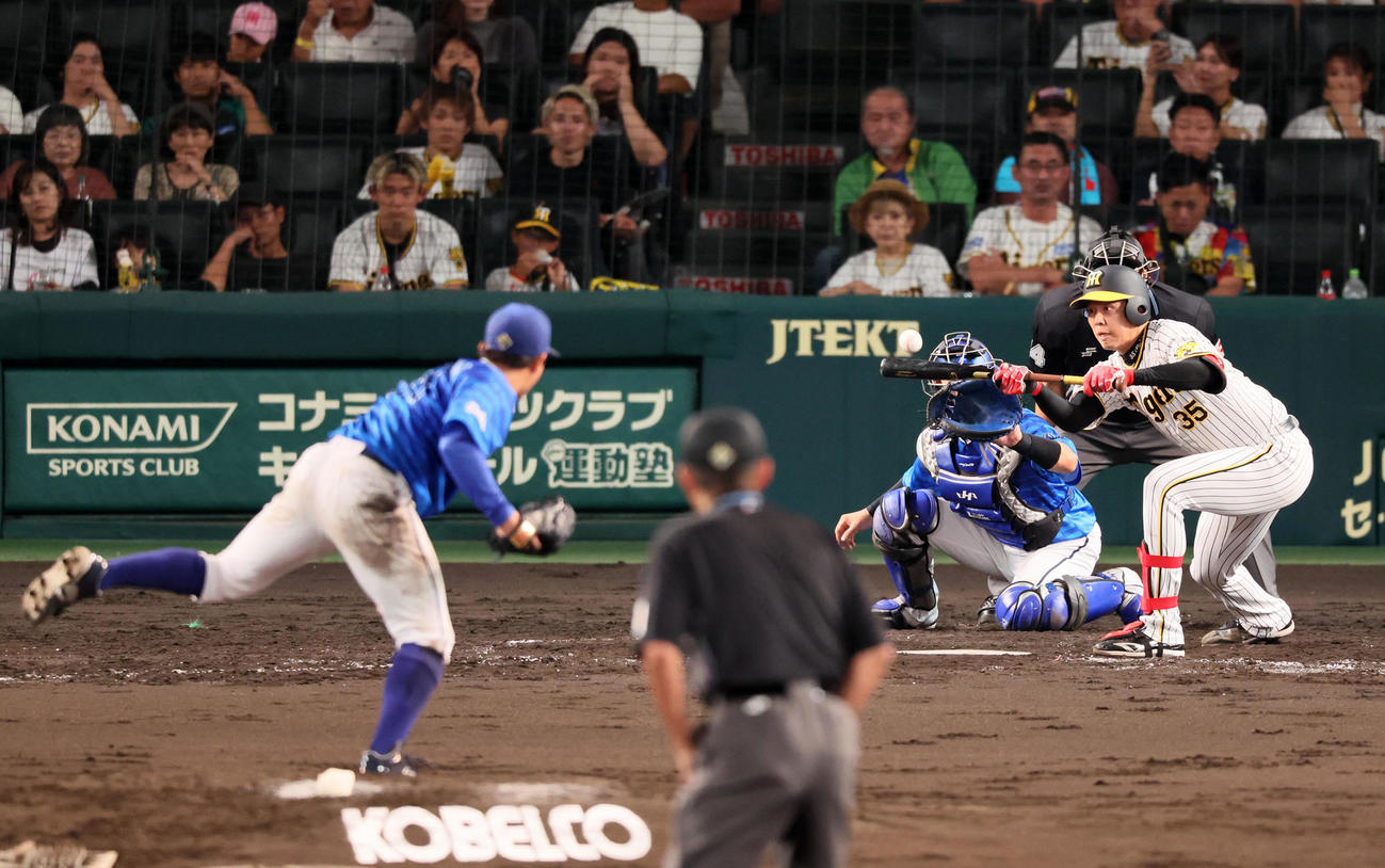 阪神対DeNA 5回裏阪神無死一塁、才木は送りバント成功。投手東（撮影・加藤哉）