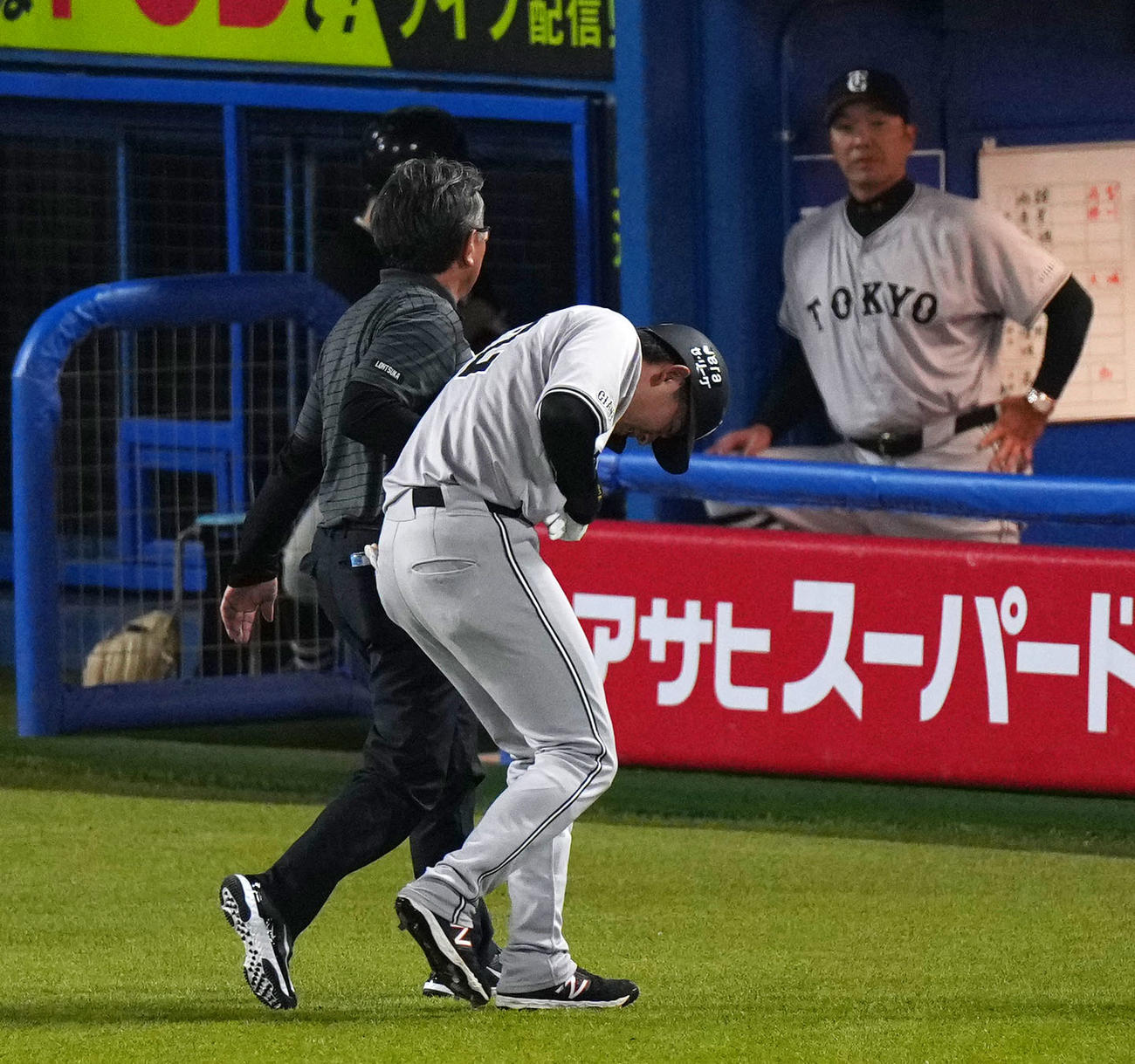 ヤクルト対巨人　6回表巨人無死、死球を受け治療のためベンチへ下がる萩尾（撮影・横山健太）