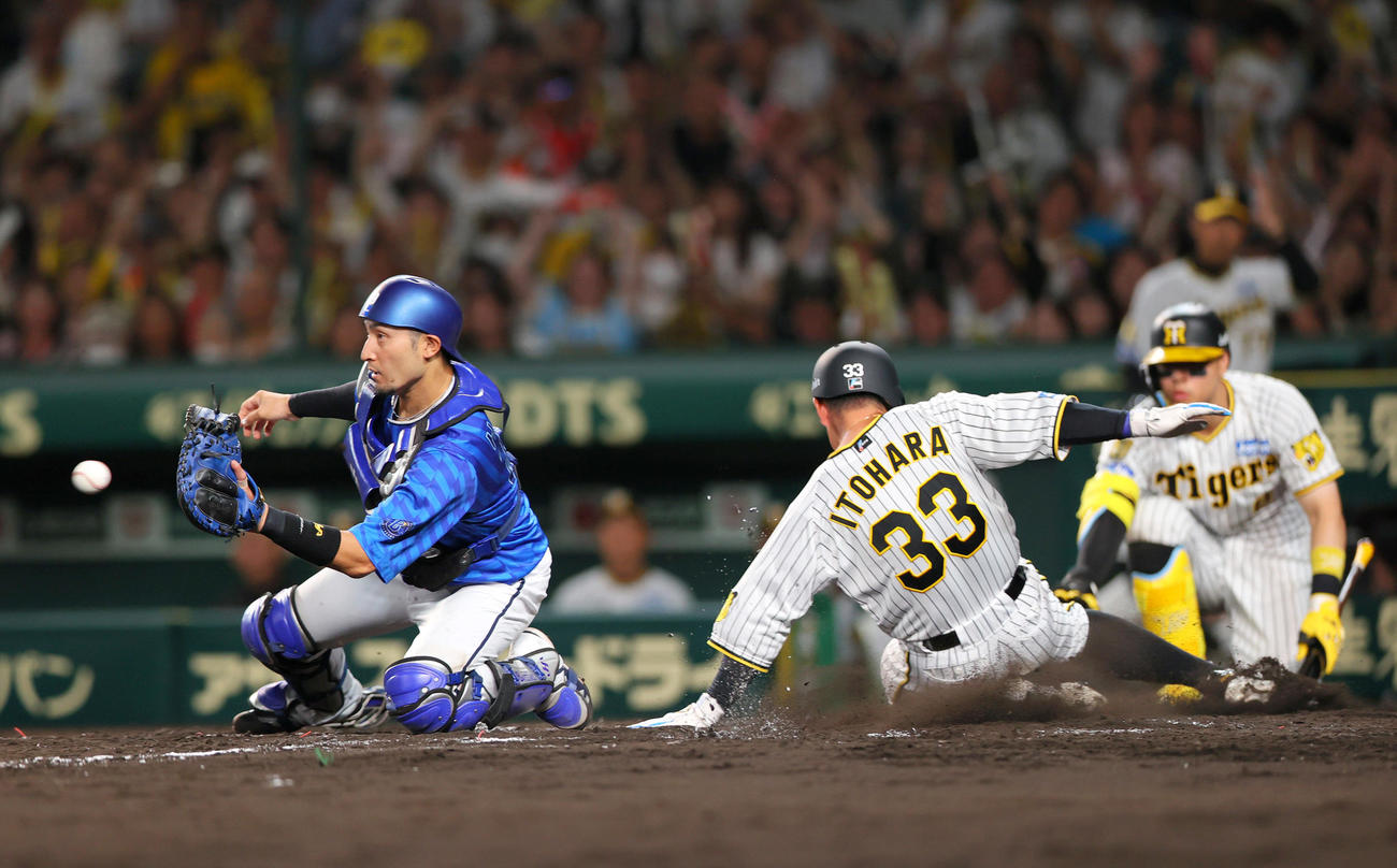 阪神対DeNA 7回裏阪神2死一、二塁、二走糸原（中央）は大山の右前適時打で生還する。左は捕手伊藤光（撮影・上山淳一）