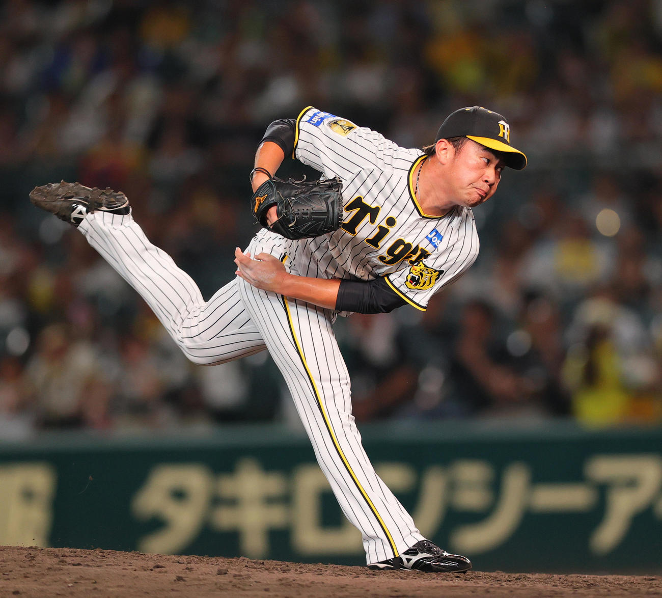 阪神対DeNA 8回表、阪神3番手で登板の桐敷（撮影・上山淳一）