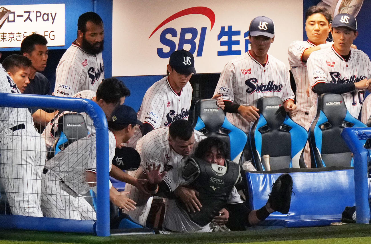 ヤクルト対巨人　1回裏ヤクルト2死二塁、山田哲人の打球を追って一塁ベンチへ突っ込む山瀬（撮影・横山健太）