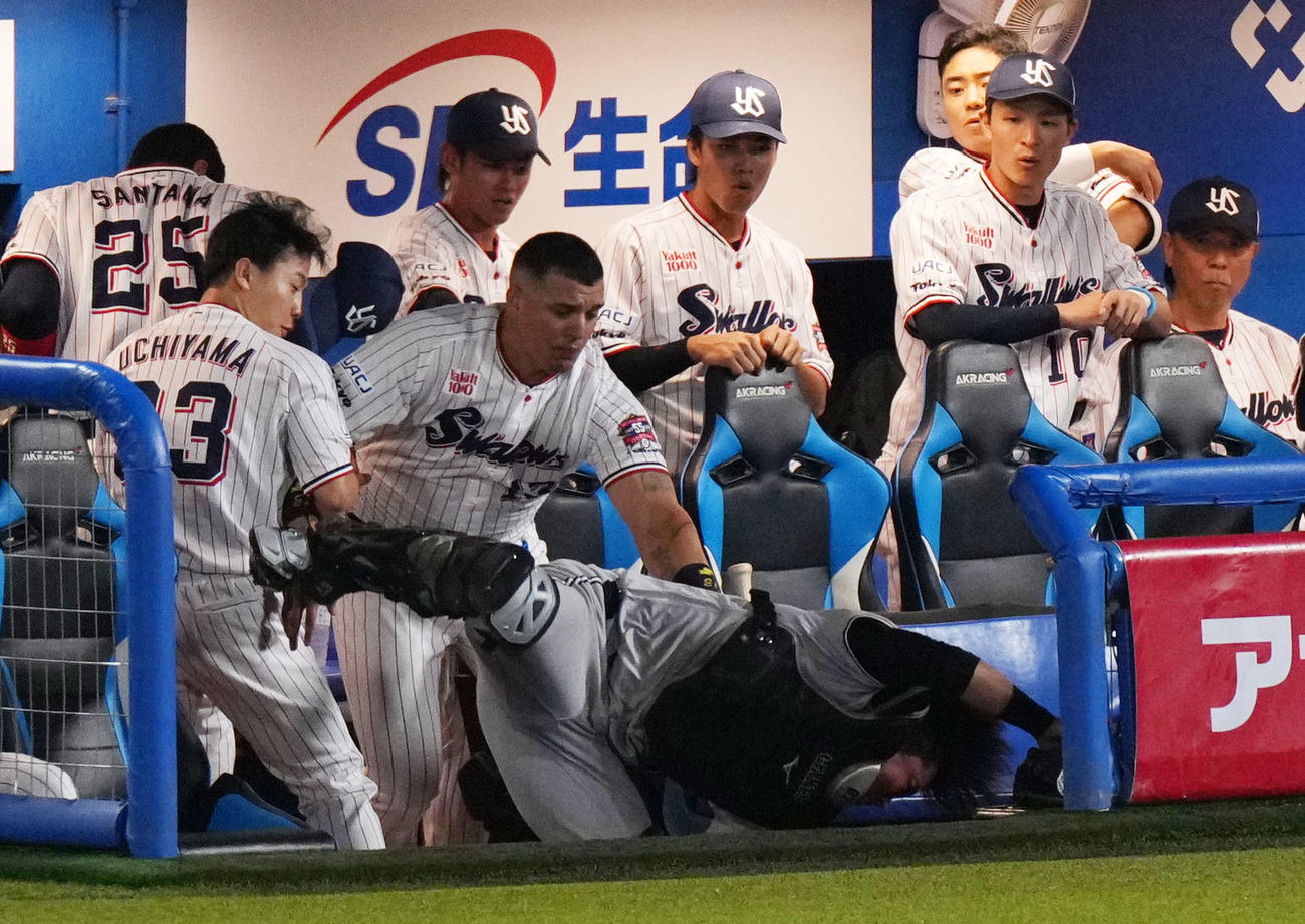 ヤクルト対巨人　1回裏ヤクルト2死二塁、山田哲人の打球を追って一塁ベンチへ突っ込む山瀬（撮影・横山健太）