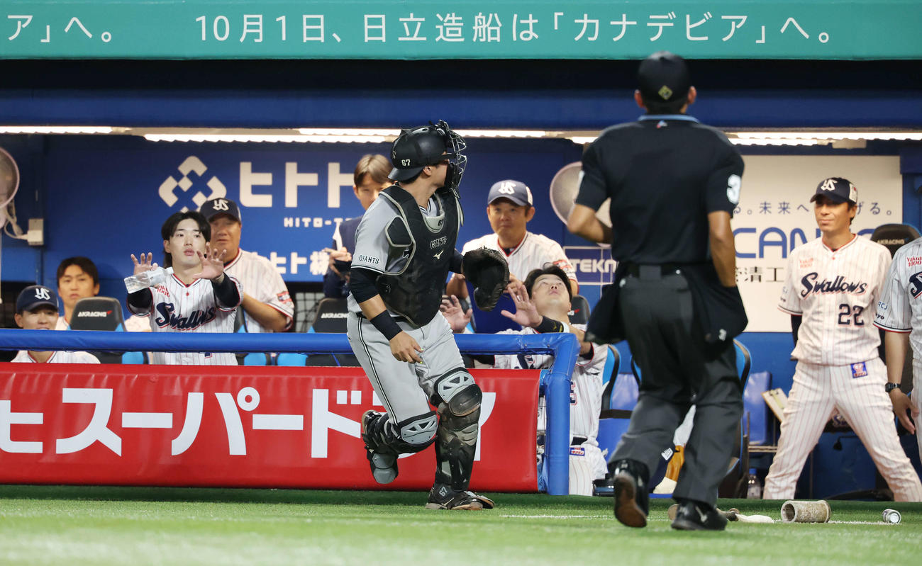 ヤクルト対巨人　6回裏ヤクルト1死、山田のフライを追いかけベンチに向かってきた山瀬（中央）を止めるヤクルトの選手たち（撮影・宮地輝）