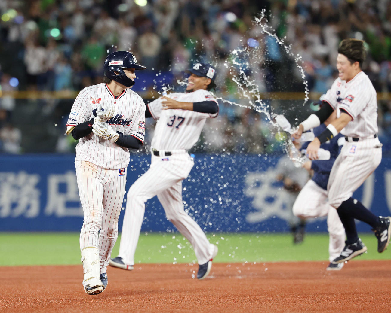 ヤクルト対巨人　9回裏ヤクルト1死一、三塁、右前サヨナラ適時打を放った長岡（左）は祝福のウオーターシャワーをかけるロドリゲス（中央）と村上から逃げる（撮影・宮地輝）