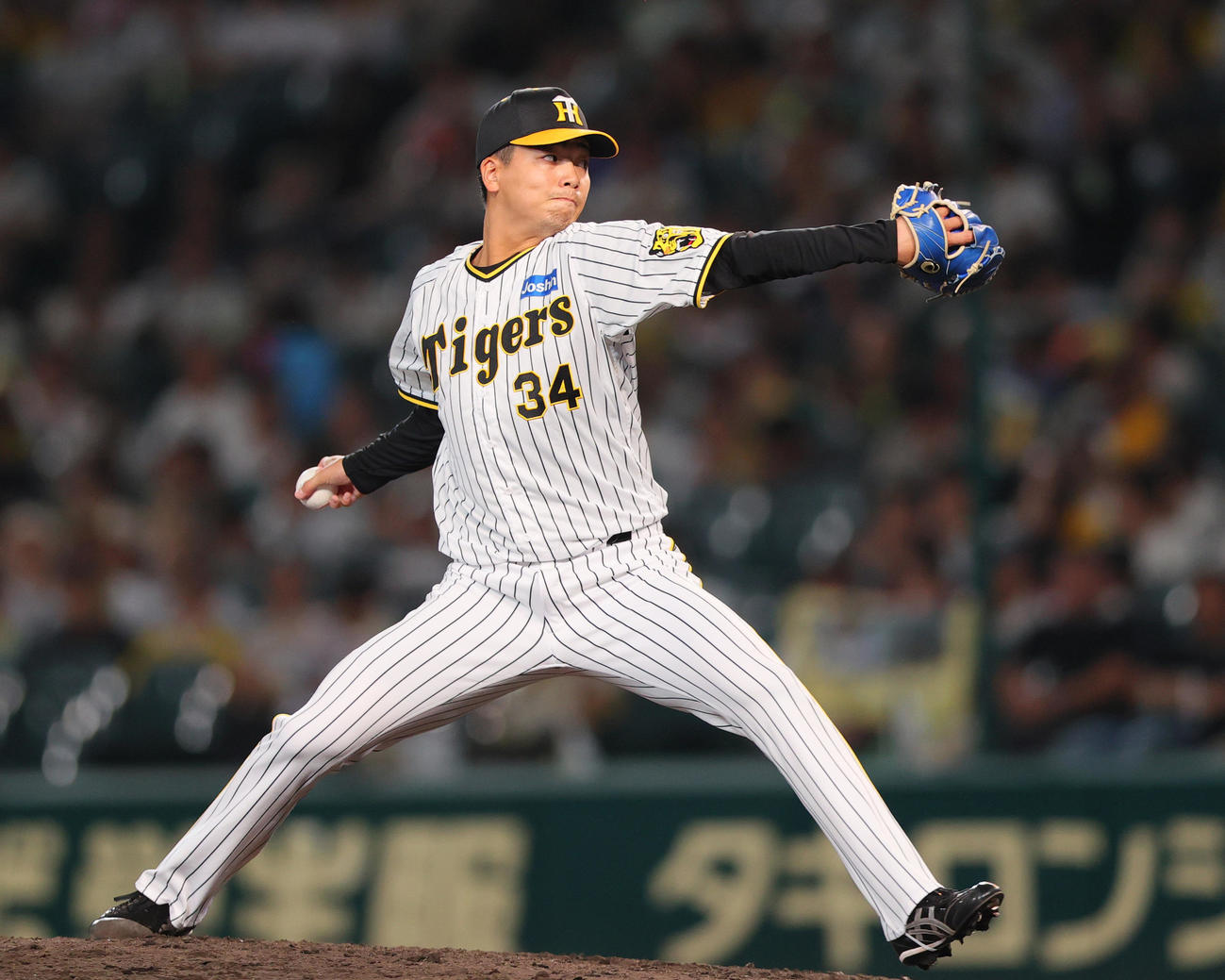 阪神対DeNA 7回表、阪神2番手で登板し、移籍後初勝利を挙げた漆原（撮影・上山淳一）